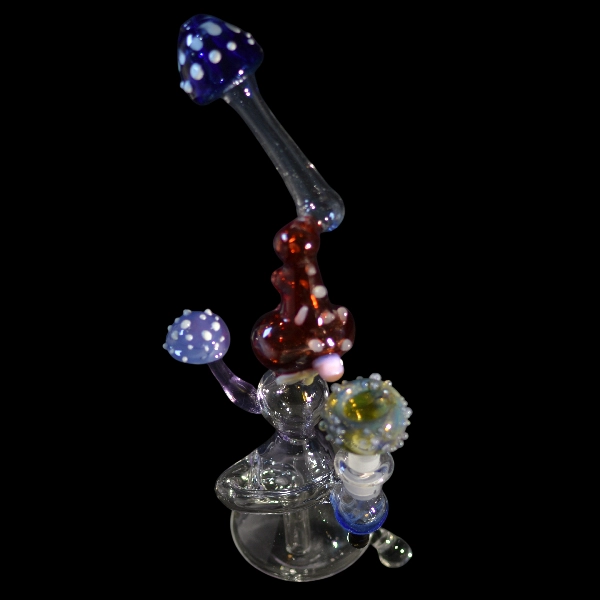 bang droit mushroom magicien