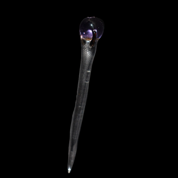 dabber in glass sorcier